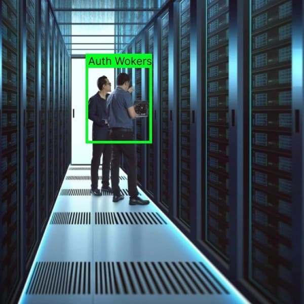 Secure facility video oversight